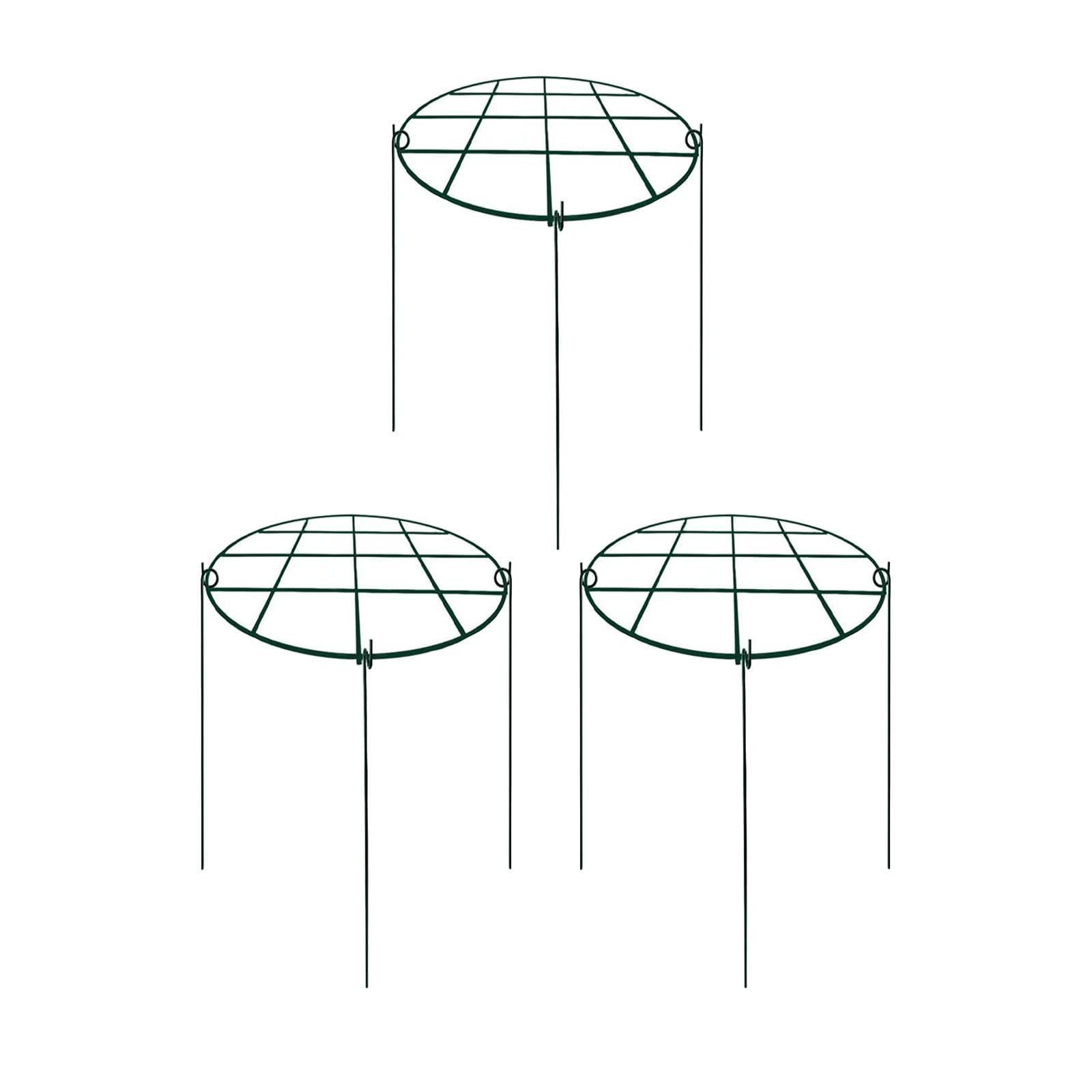 3 Pièces Tuteurs de Plantes Soutiens Métalliques pour Pivoines Armature pour Roses Cages Hydrangeas Installation Facile Convient à L'Utilisation Intér, 30x40 Cm