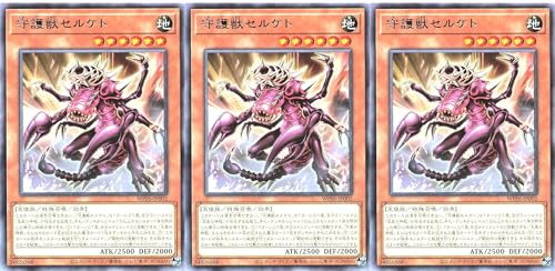 �y3���Z�b�g�z WPP6-JP002 ���b�Z���P�g ���A R ���[���h�v���~�A�p�b�N 2025 WORLD PREMIERE PACK 2025