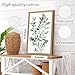 Induslyfe Framed Eucalyptus Sage Green Botanical Plant Wall Art Canvas Decor Set of 6, Leaves Wall Art Prints Posters Art, Eucalyptus decor Flower wall art for bathroom bedroom living room decor 9x12