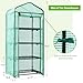 Ohuhu Mini Greenhouse for Indoor Outdoor, Small Plastic Plant Green House 4-Tier Rack Stand Portable Greenhouses with Durable PE Cover for Seedling, 2.5x1.6x5.2 FT, Ideal Gardening Gifts for Women Men