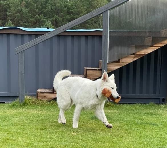 Dingo Apportier Holz aus einem Stück Erlenholz Apport für Gehorsam,Obedience Spiel, Spaß und Hundetraining 150 g 17551