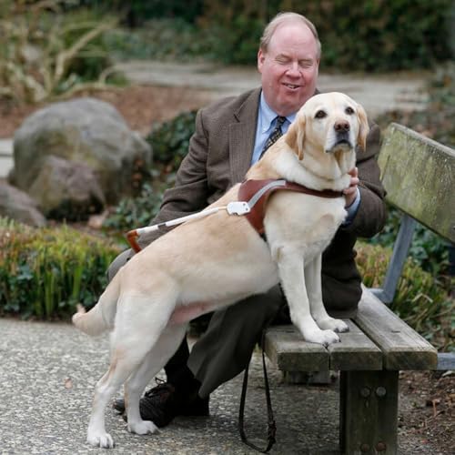 Page de couverture de 338. Living Like a Guide Dog: The Art of Being Brave with Michael Hingson
