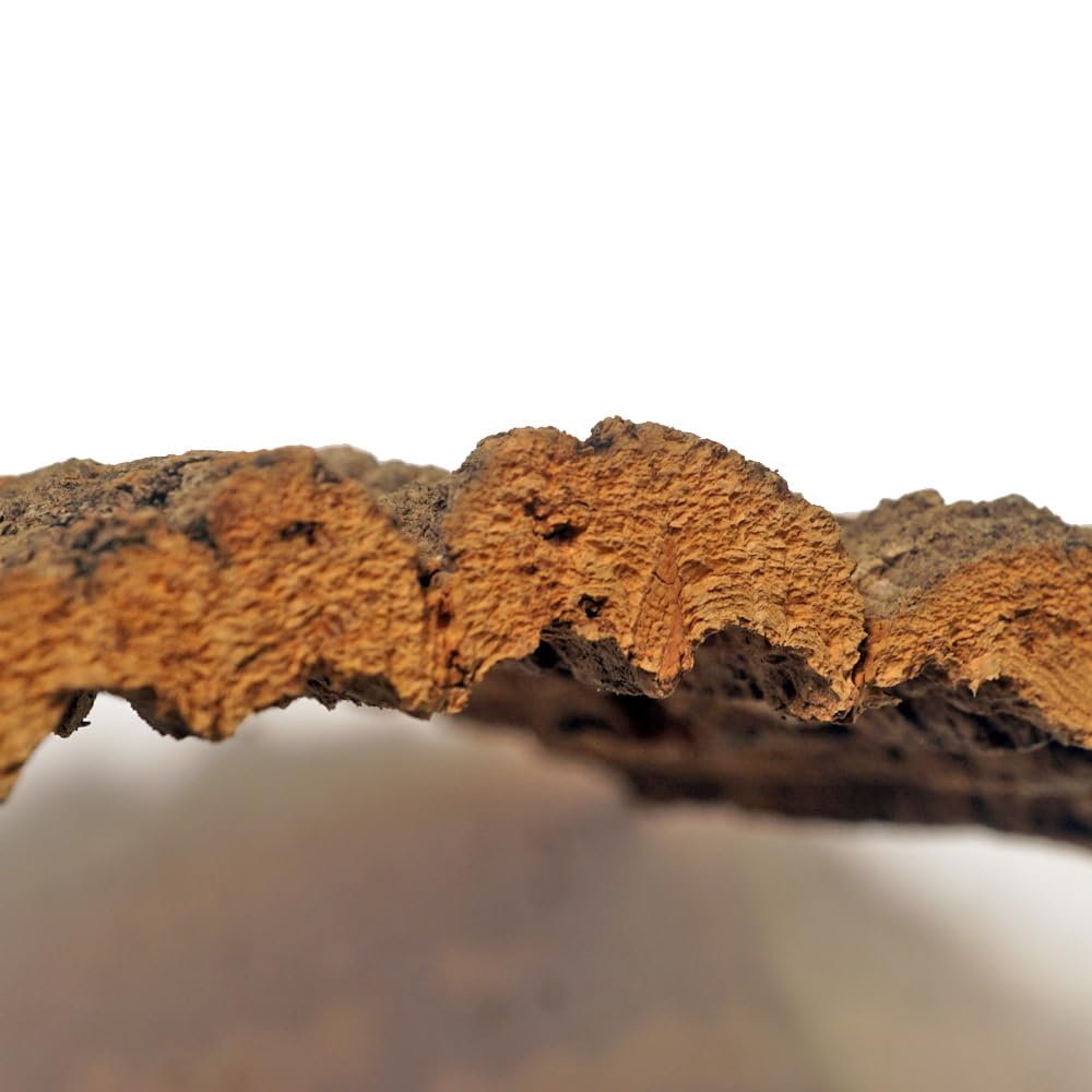 Amazon.co.jp: コルク樹皮 板 20×30cm（厚約10mm以下）3枚