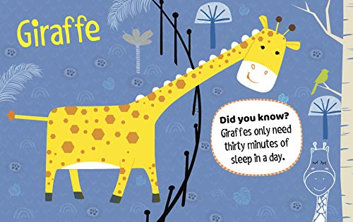 Image of My First Book of Zoo: Easy Animal Names with Colorful Images & Educational Fun Facts | Baby's First Learning Book | Vocabulary Building | First Book of Jungle Creatures | Visual Zoo Adventure | Animal Learning Board Book for Children