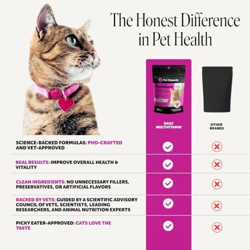 Image of Cat Multivitamin Crunchy Creamy Chews - Daily Vitamins with Lysine, Prebiotics, Omega 3 Fish Oil - Cat Treats for Immune Support, Skin Coat, Digestion, Heart + Joint Health (Tuna, 30-Day Supply)