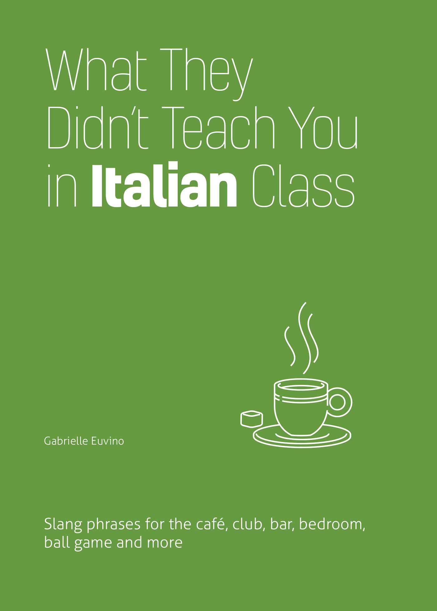 What They Didn't Teach You in Italian Class - 9781646043965