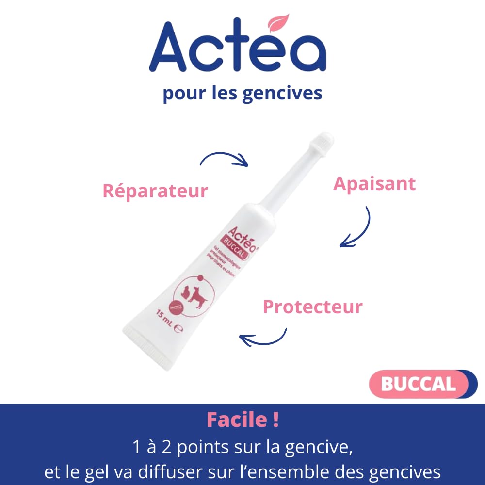 Anidev Actéa Buccal - Gel apaisant gencives Chien et Chat - Hygiène bucco Dentaire - Limite Plaque tartre et Mauvaise haleine - Effet apaisant réparateur et Protecteur 15 ML