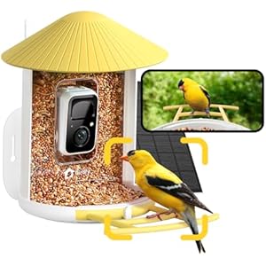 NETVUE by Birdfy Smart Bird Feeder with Camera – AI Identifies Birds Species 2MP Night Vision & App Alerts, 2.4Ghz Wi-Fi Connect IP65 Weatherproof Bird Camera-Gift for Backyard BirdWatchers,