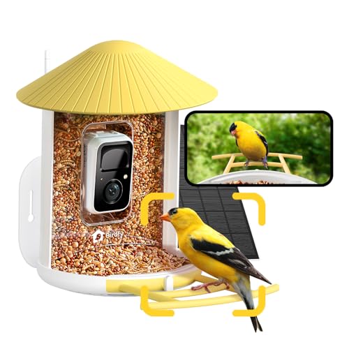 Image of NETVUE by Birdfy Smart Solar Birdfy Bird Feeder with Camera for Outdoor