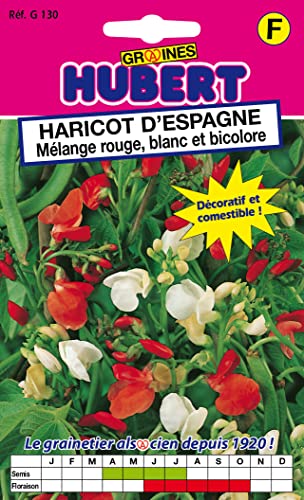 Haricots d'Espagne - Mélange Rouge, Blanc & Bicolore - 30 grammes