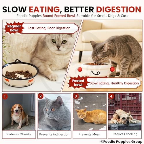 Image of Foodie Puppies Pet Elevated Cat Bowl - (Fun Face Round Bowl) | Detachable Stainless Steel Raised Bowl for Food & Water Feeding | Durable, Anti-Vomiting, Mess-Free Feeder for Cats, Kittens & Puppies