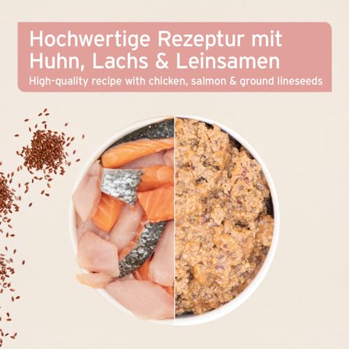AniForte Fish & Chicken Nassfutter für Katzen 6 x 400 g – Natürliches Katzenfutter nass getreidefrei, viel frisches Lachs & Huhn, Katzennassfutter getreidefrei, Futter für Katzen, Wet cat Food