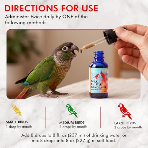 Morning Bird Milk Thistle & Dandelion Extract 2 fl oz – Organic Herbal Supplement for Birds – Supports Liver Health & Natural Detox – Suitable for All Bird Species - Image 4