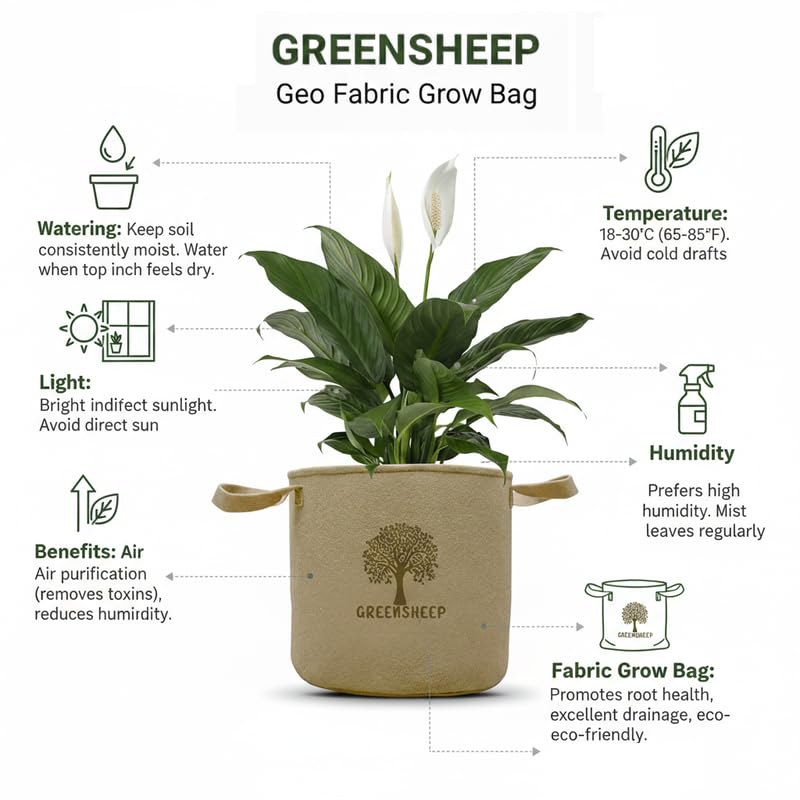Image of GREENSHEEP Geo Fabric Grow Bags for Terrace Gardening, Balcony, Vegetables, Plants, Fruits and Flower with Handles - Breathable and Reusable Plant Bags for Indoor (Beige) (Pack of 3) (Size-8x8)