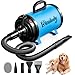 Blanlody Secador de Pelo para Perros Blower Muy silencioso 4,5 CV / 3200 W Motor de Velocidad Ajustable, para el Cuidado de Perros con 4 boquillas Diferentes Manguera elástica y Cepillo de Cuidado