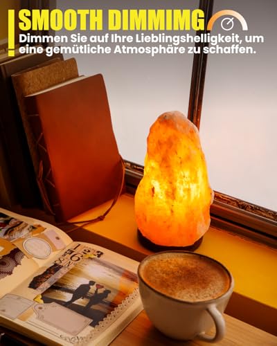 LumiGo Backofenlampe E14, 500 Grad, 26W Dimmbar Warmweiß 2700K AC 220-240V für Backofen, Mikrowelle, Dunstabzugshaube, Salzlampe, Wachswärmer, 2er-Pack
