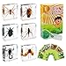6 PCS Insect Specimen Set, Spider/Scorpion/Cricket/Flower Chafers/Stink Bug/Spotted Lanternfly Resin Collection Science Toys