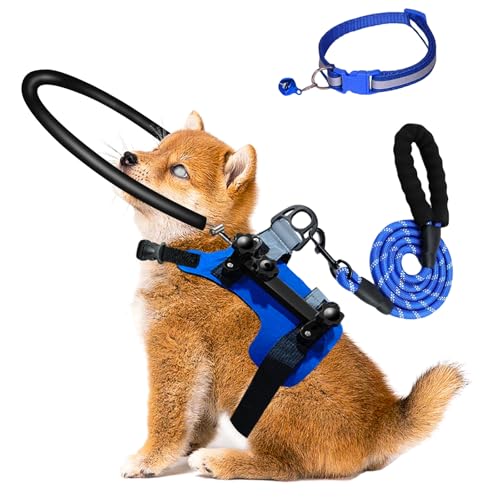 Blind Dog Halo Harness,Adjustable Halo Dog Collar with 5 FT Dog Leash & Reflective Collar,Bumper Halo for Protective & Build Confidence,Blind Dogs Accessories (S:Recommand Weight 9-22 lbs)