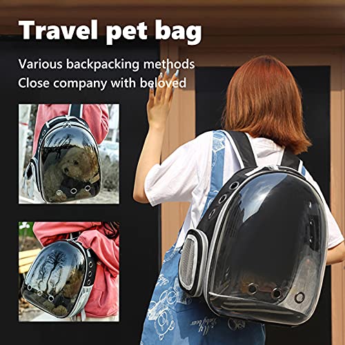 GOLDCHAMP Zaino Trasportino per Cani e Gatti di