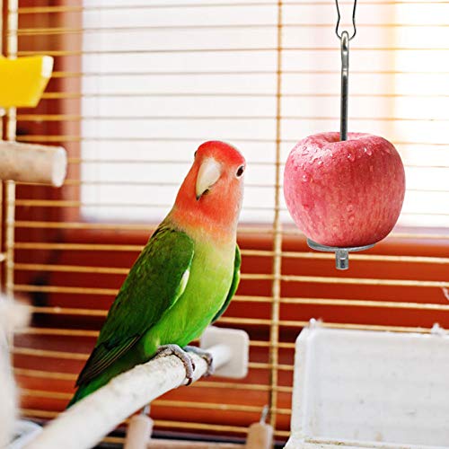 YEES Papegaai Spies Vogel Fruit Houder Papegei Fruitspies 1 stuk roestvrij staal Vogel Finch Finch Canarische Workable - Afbeelding 5