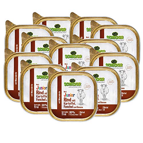 Schecker Nassfutter - Hundemenü Junior Rind mit Kartoffel, Fenchel und Banane - 12 x 200 g - Welpenfutter - 80% frisches Rind