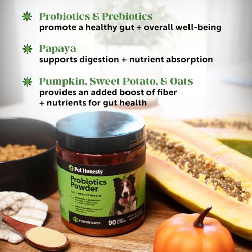 Image of Dog Probiotic Powder with Digestive Enzymes + Prebiotics - Pumpkin Food Topper Supplement for Healthy Digestion, Sensitive Stomach, Gas Relief + Immune Support - Soluble Fiber for Dogs (90 Scoops)