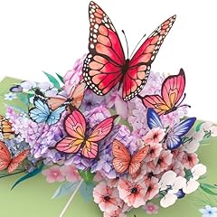 Butterflies on Flowers