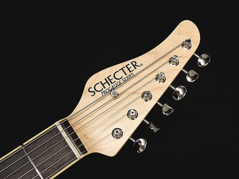 Amazon | SCHECTER PS-PT-AL-RH/2TS/R シェクター テレキャスター
