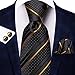 Hi-Tie Black Gold Extra Long Ties for Men Silk 70'' Men's Ties Set Stripe Necktie and Pocket Square Cufflinks for Wedding