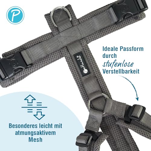 Petlando Hundegeschirr mittelgroße Hunde, weich gepolstert mit Mesh, Y-Comfort Anthrazit M (Halsumfang 46-74 cm, Brustumfang 50-74 cm), Hunde Geschirr mittel