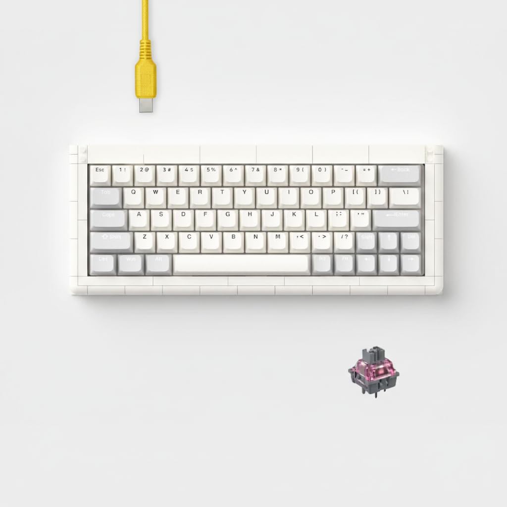 KBDcraft 01Adam 60% Mechanical Keyboard, 64-Key ANSI, Lego-Compatible Case, Gasket Mount, Hot-swappable, Wired, Linear Switch, RGB, QMK, Vial for Win/