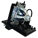Amazing Lamps Compatible Replacement Lamp in Housing for Mitsubishi Televisions: WD-73742, WD-82742, WD-92742, WD-73842 - Amazing Quality - 915B455012