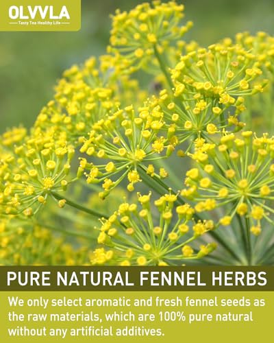 Image of Olvvla - Premium Fennel Tea Bags - 4g X 50 Count - 100% Pure Natural Whole Fennel Seeds - Sweet & Smooth - Non-GMO - Caffeine-free - Support Digestion & Promote Relaxation
