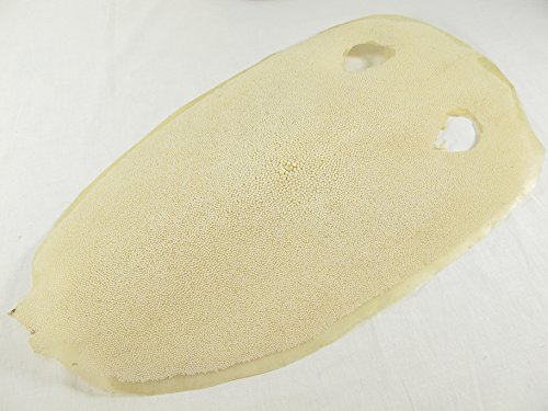 PELGIO Genuine Dried Stingray Skin for Japanese Samurai Sword Katana & Decorate (10