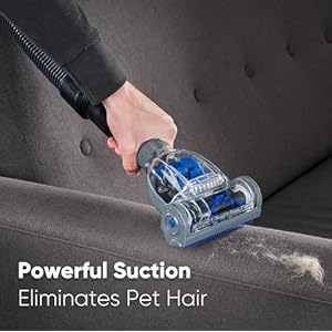 Prolux QX60 Pet Bagged Canister Best Rated Vacuum with Sealed HEPA Filtration