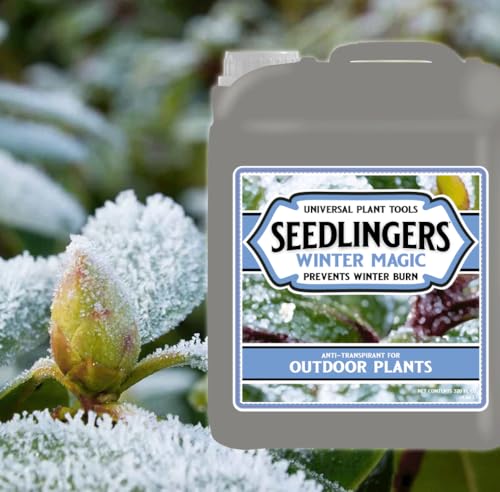 Seedlingers Winter Magic 5 Galones Concentrado miniatura 2