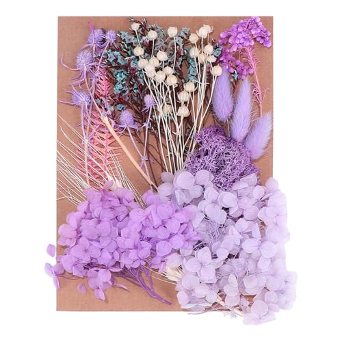 VRhCt[G|LV^pԂƗtZbgA[gNtgWG[쐬XNbvubLONtghCt[