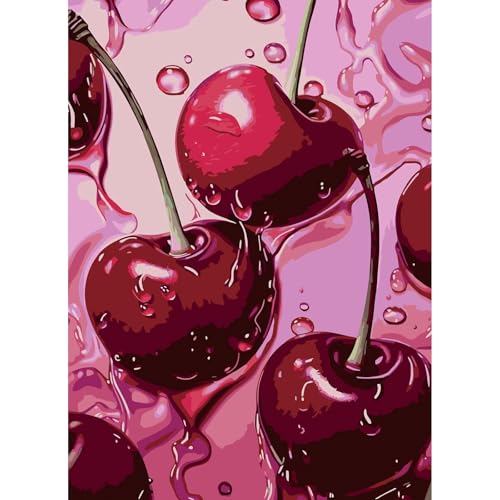 AIBOERL Cherry Diamond Painting Kits for Adults,Diamond Painting Kits 5D Diamond Art Kits,Full Drill DIY Crafts Diamond Painting Kit Adult for Home Decor Gift Diamond Dots[11.8x15.7inch]