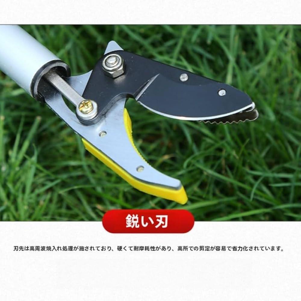 【引き取り限定】高枝切り鋏 伸縮可能 伸縮式高枝切鋏(鋸付き) E-Value 高枝鋏 【通販モノタロウ】