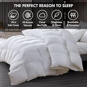 Luxuriouskingcaliforniakingsizegoosedownfiberwaterfowlfeatherfibercomforterduvet100egyptiancottoncover58ozfillweightbaffleboxdesignwhitesolid  Urban Country Home Decor Luxurious kingcalifornia king size goose down fiber waterfowl feather fiber comforter duvet 100 egyptian cotton cover 58 oz fill weight baffle box design white solid  urban country home decor