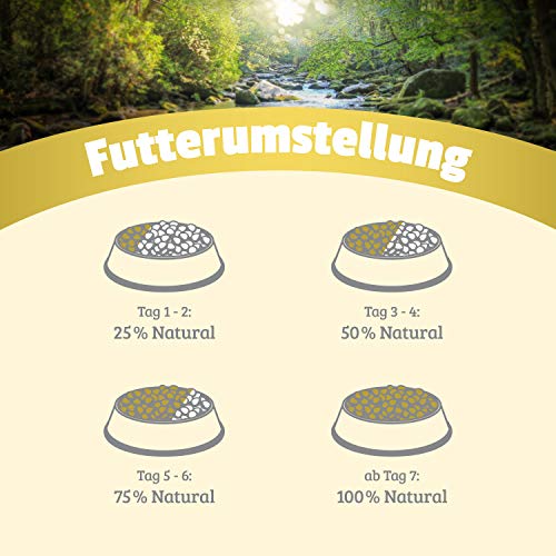 Hundeland Natural - Pferd + Pastinake - 6 x 800 g - getreidefreies Hundefutter - Nassfutter für alle Hunderassen - viel frisches Fleisch - artgerecht & besonders gut verträglich