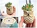6 Pcs Mini Small Ceramic Owl Succulent Plant Pot Flower Planter Holder Cactus Planter Pot Flower Pot Container Planter