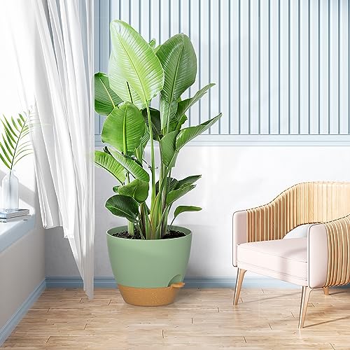 Zmtech 1 Pack 12 Inch Plant Pots With Watering Lip Self Watering Planters With Drainage Holes And Removable Saucer Plastic Flower Pot For Indoor Outdoor Plants (Green) #TOP5