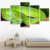 SIGNWIN 5 Panel Canvas Wall Art Modern Art Chic Expressive Frog Multicolor Photography Reptiles Snakes for Home Decorations Ready to Hang - 60