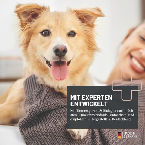 ReaVET Darm Prebiotic für Hunde 150g - Präbiotikum zur Unterstützung der Darmflora & Verdauung - Natürliche Darmkur bei sensibler Verdauung, Hund Darmflora aufbauen, Darmsanierung für alle Hunderassen