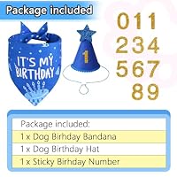 Agroon Blue Dog Birthday Party Supplies with Hat Bandana Numbers — image 3