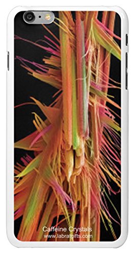 Amazon.com: Lab Rat Gifts IPP6006CASE Plastic Amazing Exclusive SEM ...