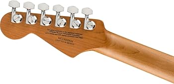 Amazon | Charvel/Pro-Mod DK24 HH 2PT EB Ebony Fingerboard Gloss