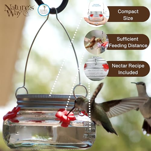 Nature'S Way MJF1 Nature'S Way Mason Jar Hummingbird Dish Feeder thumb #4
