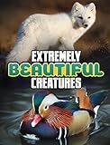 Raintree Extremely Beautiful Creatures (Unreal but Real Animals).